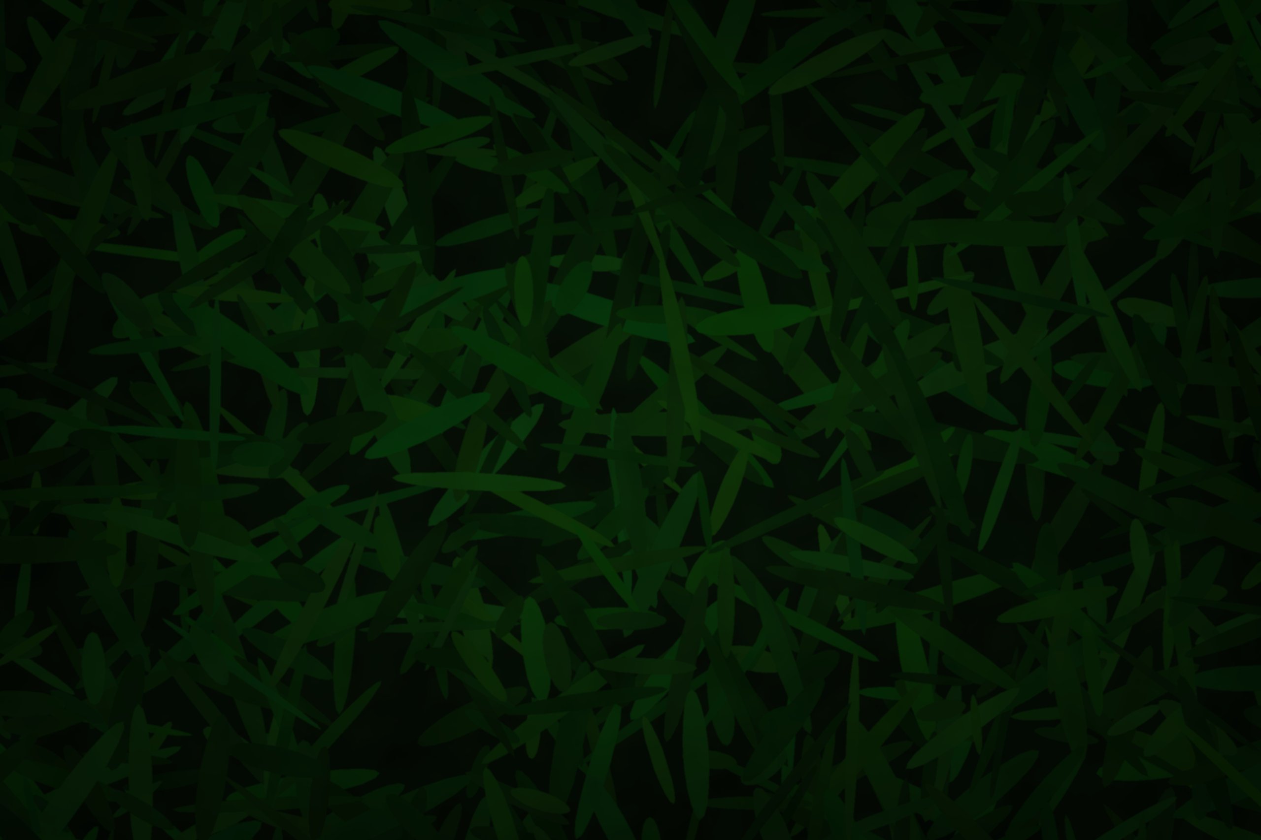 Image11
